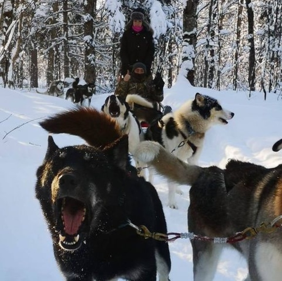 Meet your Posher, Steve-michel - Picture 1 of 1